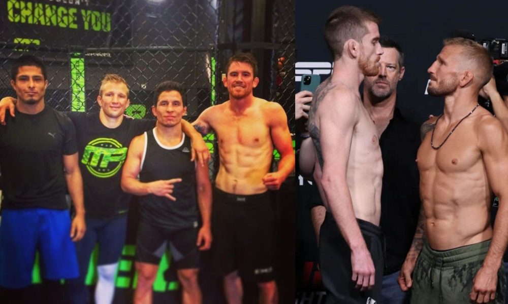 Are TJ Dillashaw and Cory Sandhagen Former Training ...