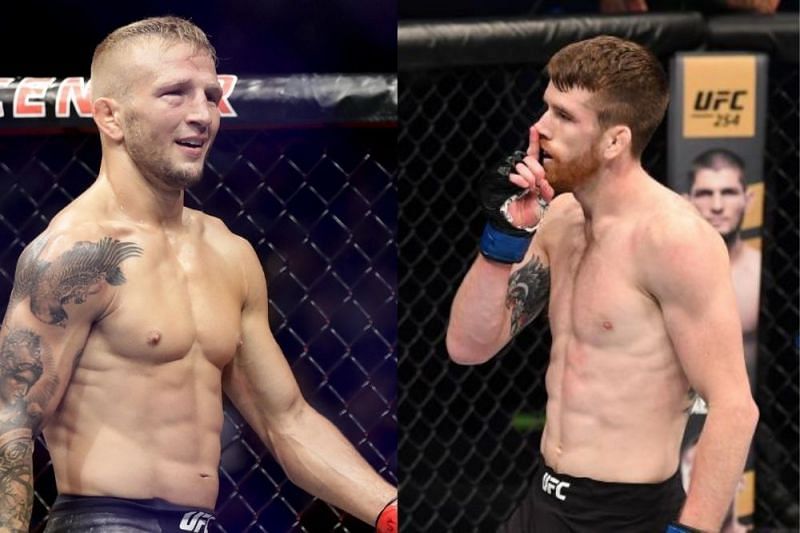 He Is Still The Same Fighter Tj Dillashaw Believes He Will Put A Beating On Cory Sandhagen At Ufc Vegas 32 Sportsmanor