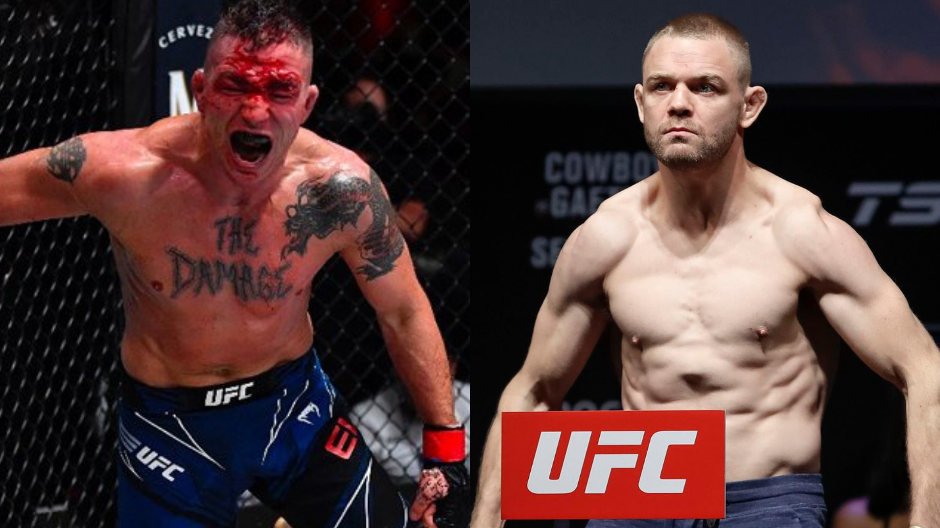 UFC Fight Night: Darren Elkins vs Tristan Connelly